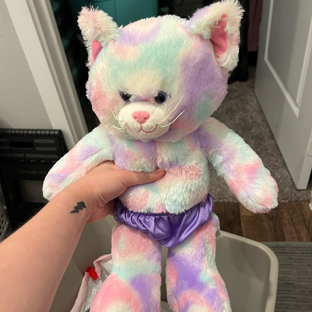 Build a bear tie-dye cat